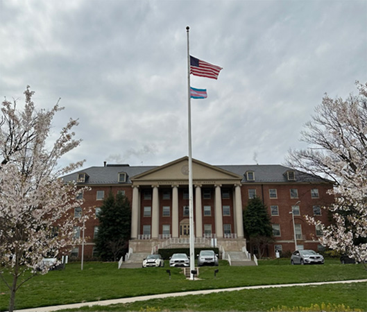 The United States and Transgender Pride flag flying in front of Building 1, the main building of NIH.