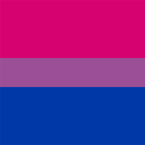 Bisexual Pride Flag