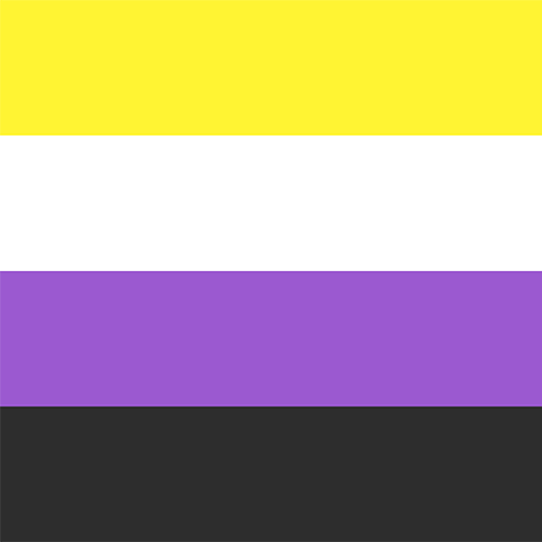 Nonbinary Pride Flag