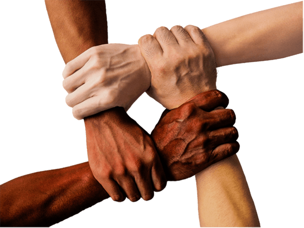Four diverse hands gripping the wrists of each other’s.