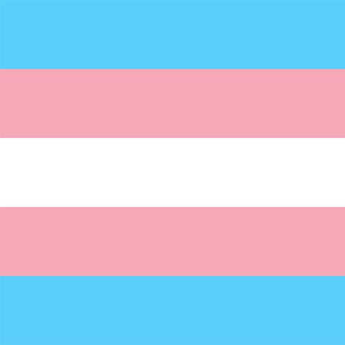 ✶ SILLYTBHGENDER in 2023  Gender flags, Pride flags, Gender pronouns