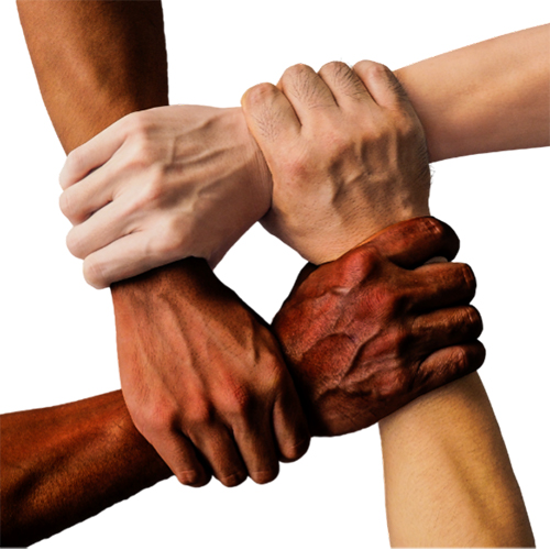 Four diverse hands gripping the wrists of each other’s