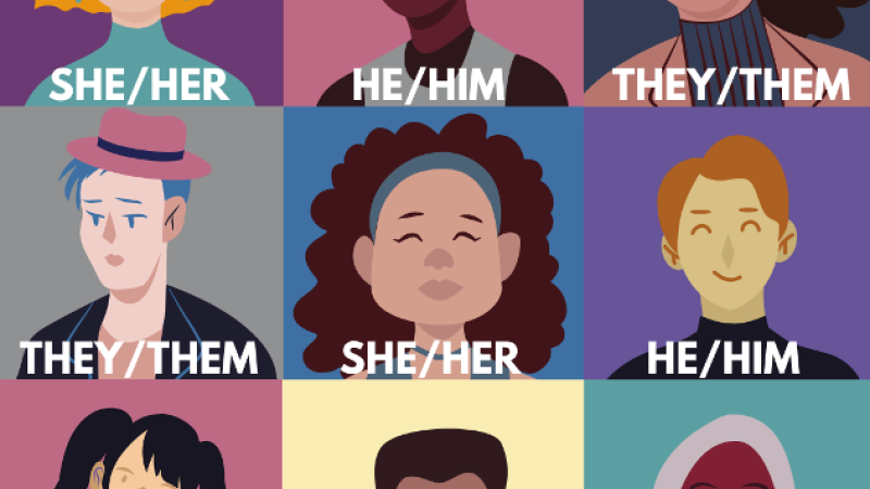 Collage of illustrated diverse persons labeled with pronouns she/her/he/him/they/them/ze/hir.