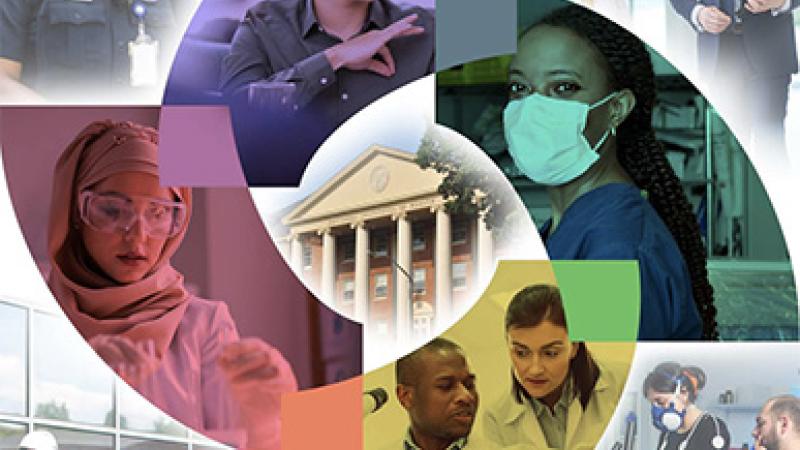 NIH Wide Strategic Plan for Diversity, Equity, Inclusion, and Accessibility.