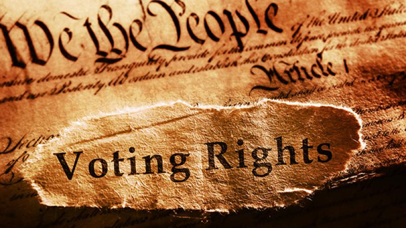 We The People. Article 1. Voting Rights.